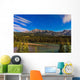 Star Trails above Front Wall Decal