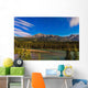Star Trails above Front Wall Decal
