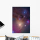 Colorful Region around Antares Wall Decal