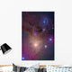 Colorful Region around Antares Wall Decal