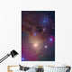 Colorful Region around Antares Wall Decal