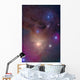 Colorful Region around Antares Wall Decal