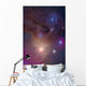 Colorful Region around Antares Wall Decal