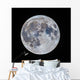 Mini-moon March 5 2015 Wall Decal