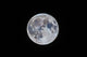 Mini-moon March 5 2015 Wall Decal