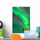Aurora Borealis with Taurus Wall Decal