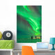 Aurora Borealis with Taurus Wall Decal