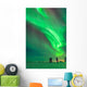 Aurora Borealis with Taurus Wall Decal