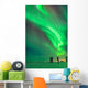 Aurora Borealis with Taurus Wall Decal