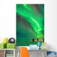 Aurora Borealis with Taurus Wall Decal