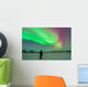 Aurora Borealis with Vega Wall Decal
