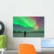 Aurora Borealis with Vega Wall Decal
