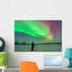 Aurora Borealis with Vega Wall Decal