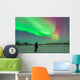 Aurora Borealis with Vega Wall Decal