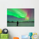 Aurora Borealis with Vega Wall Decal