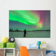 Aurora Borealis with Vega Wall Decal
