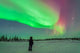 Aurora Borealis with Vega Wall Decal