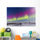 Aurora Borealis Seen from Wall Decal