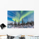 Aurora Borealis over Trees Wall Decal