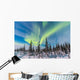 Aurora Borealis over Trees Wall Decal