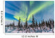 Aurora Borealis over Trees Wall Decal