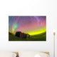 Fish-eye Lens Composite Aurora Wall Decal