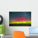 Aurora Borealis above Grasslands Wall Decal