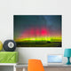 Aurora Borealis above Grasslands Wall Decal