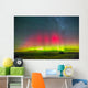 Aurora Borealis above Grasslands Wall Decal