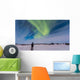 Aurora Borealis under Bright Wall Decal