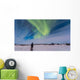 Aurora Borealis under Bright Wall Decal