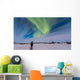Aurora Borealis under Bright Wall Decal