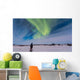 Aurora Borealis under Bright Wall Decal