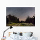Meteor and Big Dipper Wall Decal