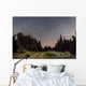 Meteor and Big Dipper Wall Decal