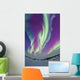 Northern Lights Churchill Manitoba Wall Decal