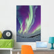 Northern Lights Churchill Manitoba Wall Decal