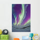 Northern Lights Churchill Manitoba Wall Decal