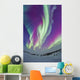 Northern Lights Churchill Manitoba Wall Decal