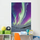 Northern Lights Churchill Manitoba Wall Decal