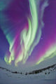 Northern Lights Churchill Manitoba Wall Decal
