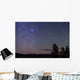 Sirius Canis Major Rising Wall Decal
