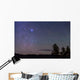 Sirius Canis Major Rising Wall Decal