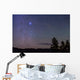 Sirius Canis Major Rising Wall Decal