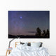 Sirius Canis Major Rising Wall Decal