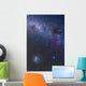 Southern Sky and Milky Wall Decal