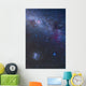 Southern Sky and Milky Wall Decal