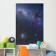 Southern Sky and Milky Wall Decal
