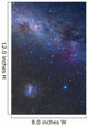 Southern Sky and Milky Wall Decal