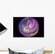 Fish-eye Lens Aurora Borealis Wall Decal Design 2
